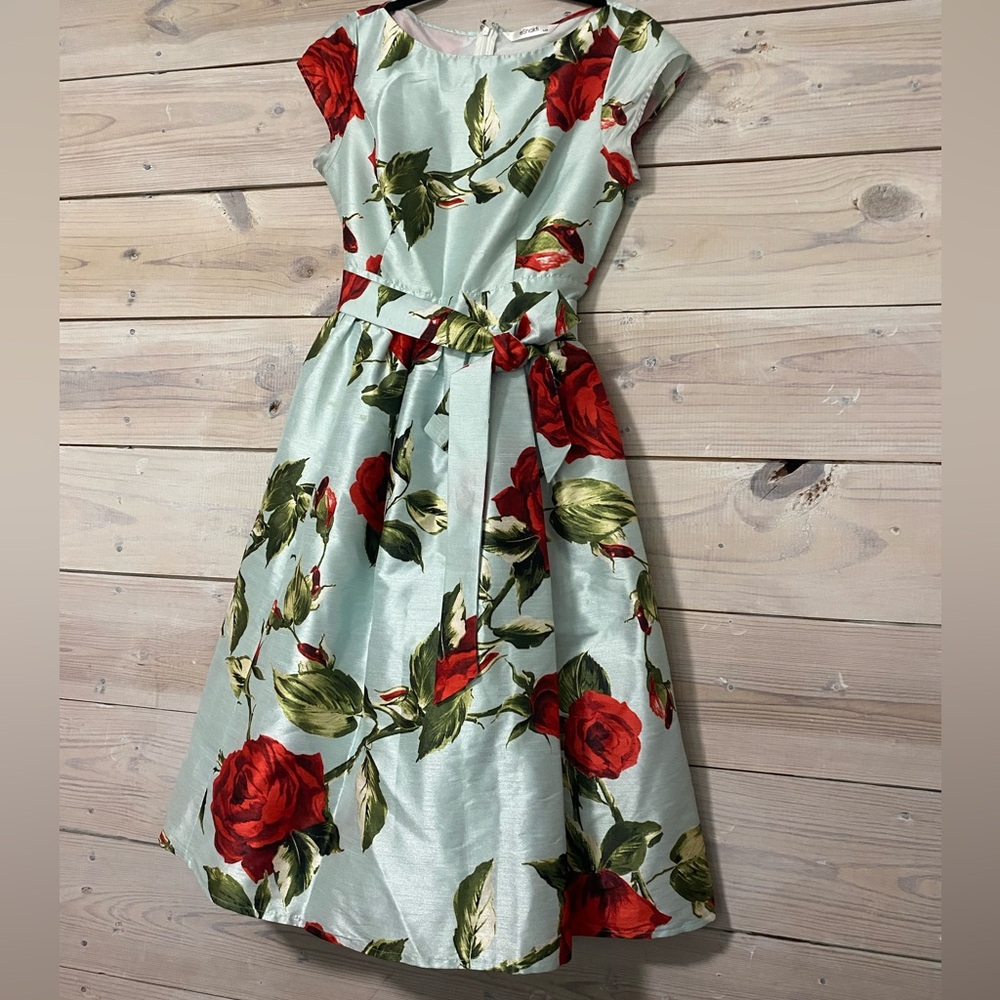 Mint colored with Red Roses 🌹 Dress